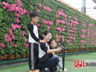 邢台市南和农业嘉年华成近郊游热门打卡地