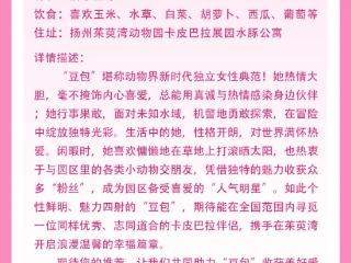 因“越狱”走红的扬州卡皮巴拉“豆包”结婚了！新郎来自福建