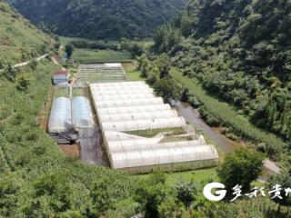 普安陆朝彬夫妇：绿水青山间绘就致富新图景