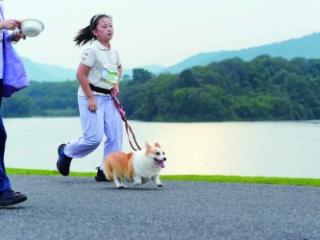 “狗狗马拉松”佛手湖畔开跑