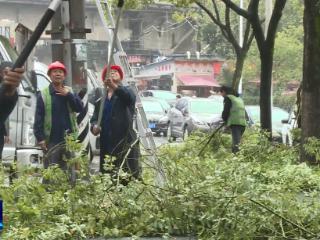 节日我在岗丨市园林绿化管理局：全员值守 护航城市安全