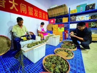 高淳蟹，行天下