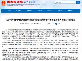 华能海南发电股份有限公司清洁能源分公司等多家单位和个人被处罚