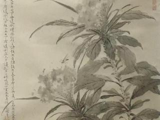 王法小尺幅花卉画展现生命灵动