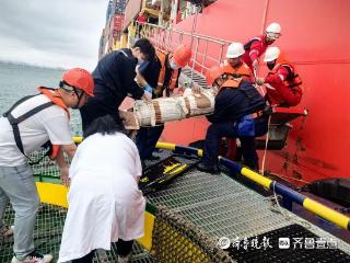 风浪中为外籍船员抢建生命通道，青岛港上演海上急速救援