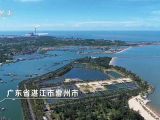 广东雷州籍00后大学生丁鹏杰作为青年创业代表登上央视