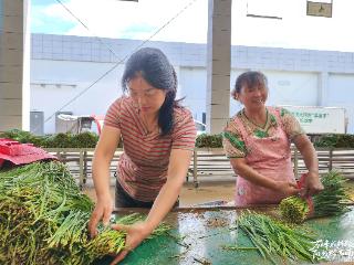 黔西南州百万亩“菜篮子”直供大湾区