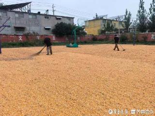 操场变晒场！枣庄这所小学的“黄金周”真不一样