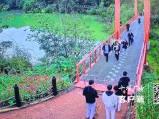 1分48秒生死救援，浙江游客为十堰景区点赞