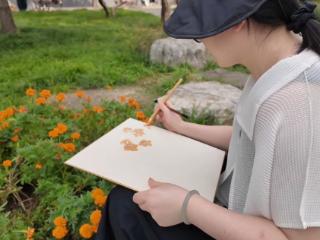 橘色点染——万娟北海中国画写生的构图与细节
