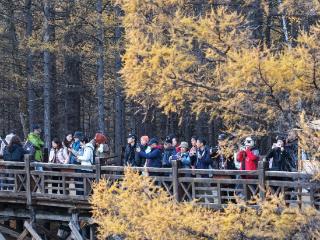 103万人次！10.28亿元！兴安盟文旅热力涌动