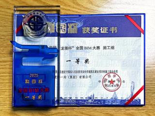 重庆市第四人民医院科学城院区项目BIM技术应用斩获全国一等奖