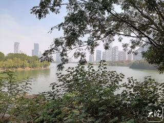 秋日午后，合肥天鹅湖风景如画