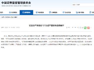 证监会严肃查处*ST元成严重财务造假案件