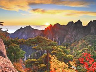 黄山市旅游一卡通年票（长三角版）即将发售