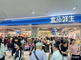 盒马长假数据：帝王蟹、东星斑成家常菜，徐州、江阴首店创多项纪录
