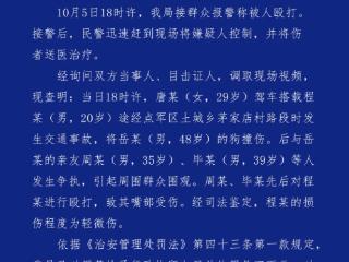 湖北宜昌警方：女子驾车撞伤狗后友人被殴打 两名打人者被拘留