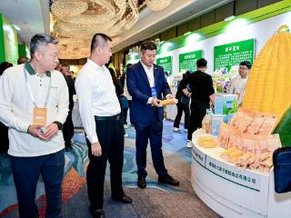 强“芯”领“鲜” 以“智”争“先”——吉林粮食以优质种质为“钥”， 解锁产业提速“核心密码”
