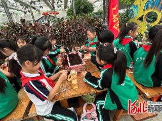邢台市南和区新区学校开展农业嘉年华研学活动