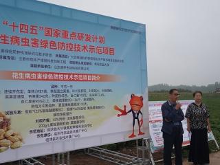 临沂市花生绿色防控提质增效试验示范现场会在临沭县大兴镇芦庄村召开