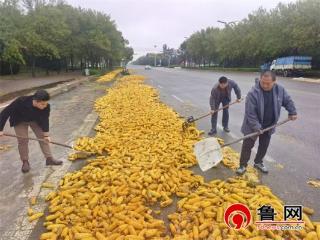 【民生实事进行时】德州天衢新区新区服务管理办公室勠力同心打好“三秋”生产攻坚战