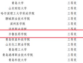 喜报！齐鲁医药学院在2025年山东省大学生国旗护卫队展示活动中获奖