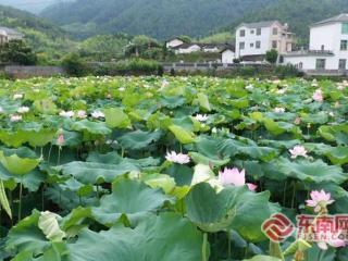 龙岩连城：护就三江“碧水”激荡经济“活水”