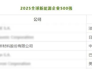 超高镍产品全球市占率达89.5%！中伟股份入选2025全球新能源企业500强