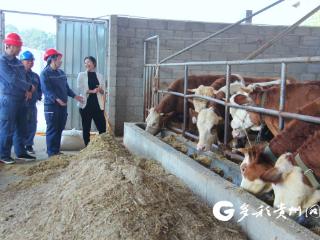 南方电网安龙供电局“业扩配套”为客户“省钱”765万元