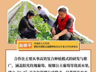 “理事长”眼中的致富密码
