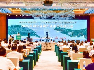 国内第三个！黄石市铜冶炼规模达到100万吨/年