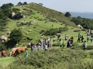 假日观②|为情绪买单、为体验付费，年轻人爱上“松弛感”体验游