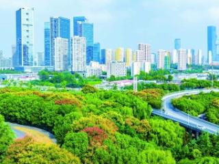 五彩斑斓秋意浓 城市美景入画来