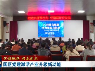 党旗飘扬 强基固本丨园区党建激活产业升级新动能