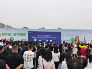 临沂沂河新区相公街道凤鸣湖片区桐华里邻里中心暨邻里市集盛大启用
