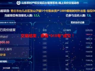 台儿庄五村联合杨树项目线上竞拍成功，20分钟溢价最高达85%