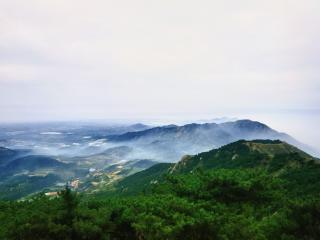 青岛“阿勒泰”爆火后，如何将“网红”变“长红”