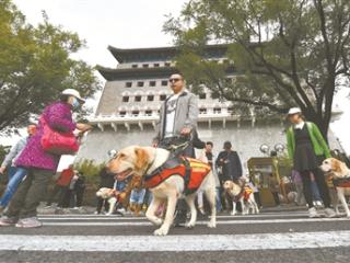 视障人士多感官解锁中轴线新体验