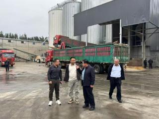 山东农担泰安管理中心赴肥城调研 精准护航“三秋”生产
