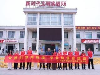 党建引领促振兴 青年党员下乡镇