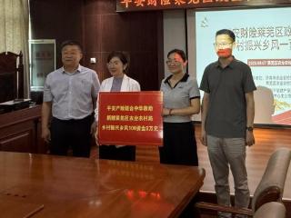 平安产险济南中心支公司“乡风文明100行动”莱芜站成功举办