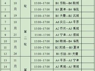 2025德州市足球甲级联赛10月18日开赛！12支代表队参赛