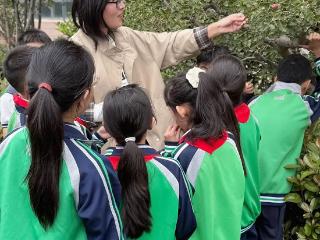 临沂第六中学太原路校区小学部校园采摘实践活动