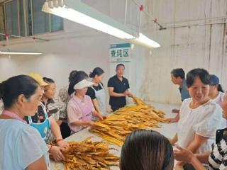 普定县鸡场坡镇：种好“黄金叶” 铺就致富路
