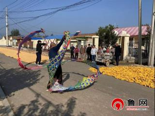 德州天衢新区抬头寺镇开展“彩带绕龙舞 欢乐满庭芳”公益培训活动