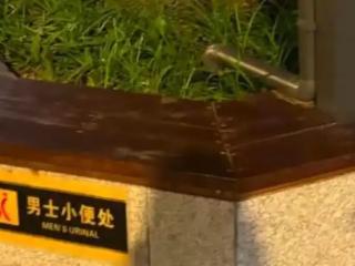 官方回应武汉一公厕旁花坛被贴上“男士小便处”：在整改，重新制作了更清晰的指示牌