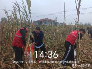 保障“三秋”农业生产 山东保险业多措并举应对持续阴雨