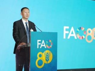金正大作为中国行业唯一企业亮相FAO全球展会