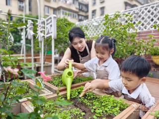 教师的故事⑮ | 把菜园变成童年最棒的教室