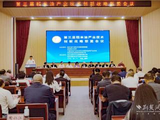 营养不增肥！学者解锁稻米油甘油二酯“燃脂”奥秘